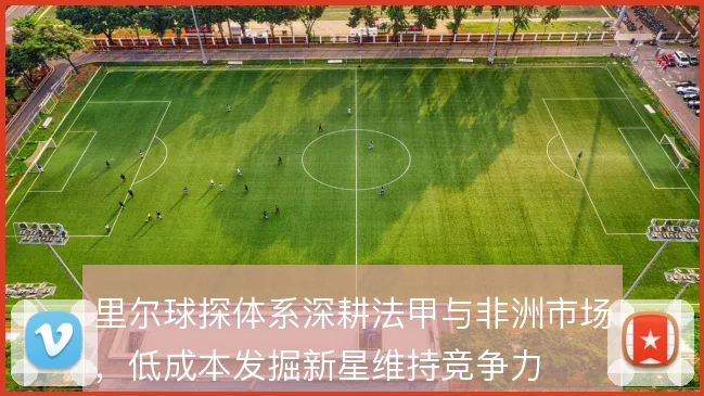 里尔球探体系深耕法甲与非洲市场,低成本发掘新星维持竞争力