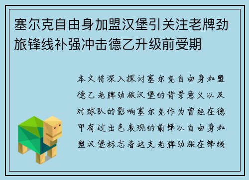 塞尔克自由身加盟汉堡引关注老牌劲旅锋线补强冲击德乙升级前受期