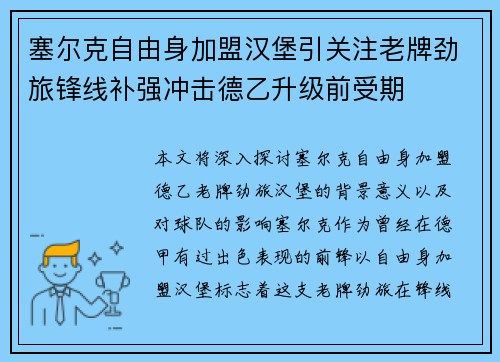 塞尔克自由身加盟汉堡引关注老牌劲旅锋线补强冲击德乙升级前受期